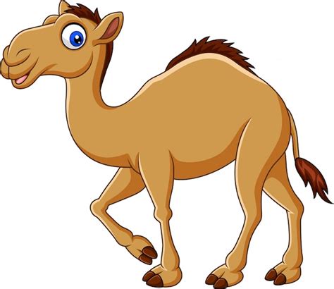 Funny Camel Toe Cartoon PNG Clipart, Humorous Camel